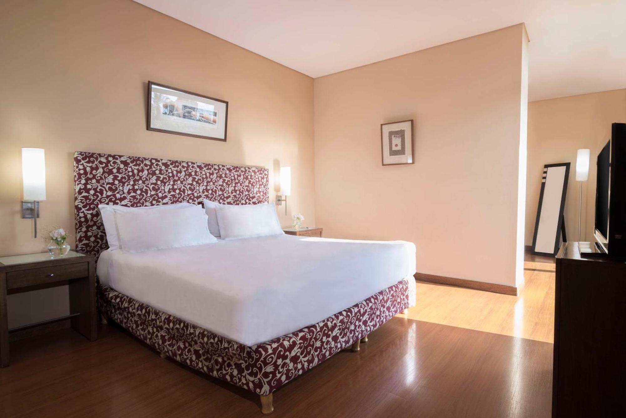 Hotel Nh Mendoza Cordillera Extérieur photo